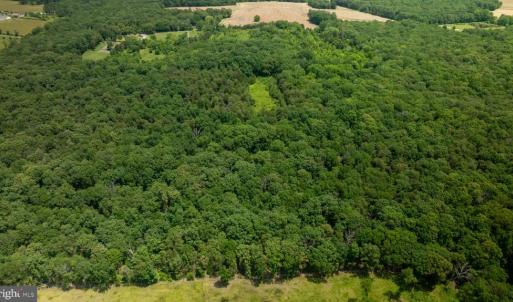 Photo #11 of 11326 ROGUES ROAD N, MIDLAND, VA 52.8 acres