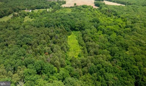 Photo #12 of 11326 ROGUES ROAD N, MIDLAND, VA 52.8 acres