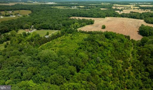 Photo #14 of 11326 ROGUES ROAD N, MIDLAND, VA 52.8 acres