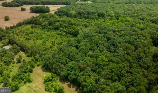 Photo #16 of 11326 ROGUES ROAD N, MIDLAND, VA 52.8 acres