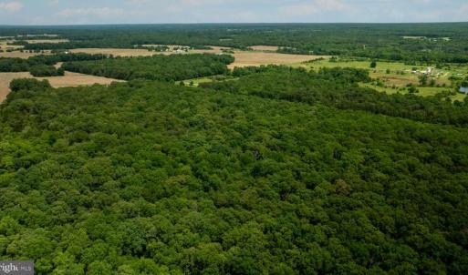 Photo #17 of 11326 ROGUES ROAD N, MIDLAND, VA 52.8 acres