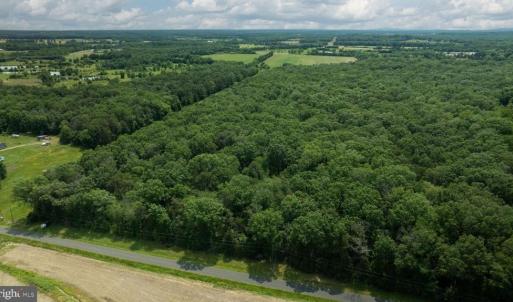 Photo #3 of 11326 ROGUES ROAD S, MIDLAND, VA 24.9 acres