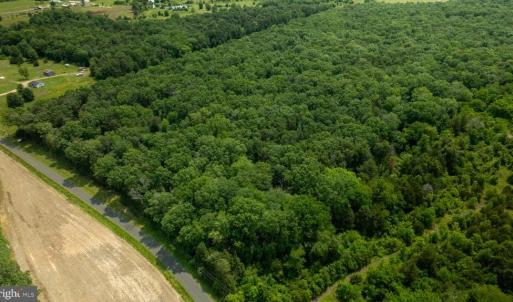 Photo #6 of 11326 ROGUES ROAD S, MIDLAND, VA 24.9 acres