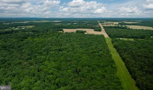 Photo #12 of 11326 ROGUES ROAD S, MIDLAND, VA 24.9 acres