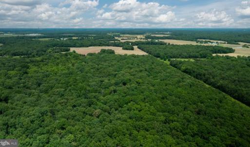 Photo #13 of 11326 ROGUES ROAD S, MIDLAND, VA 24.9 acres
