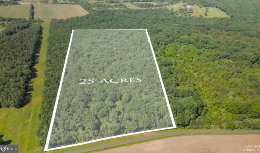 Photo #4 of 11326 ROGUES ROAD, MIDLAND, VA 24.9 acres