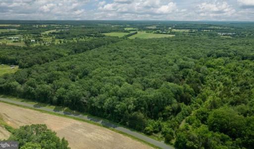 Photo #7 of 11326 ROGUES ROAD, MIDLAND, VA 24.9 acres