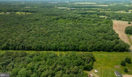 Photo #10 of 11326 ROGUES ROAD, MIDLAND, VA 24.9 acres