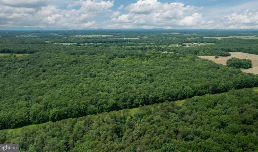 Photo #11 of 11326 ROGUES ROAD, MIDLAND, VA 24.9 acres