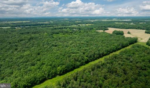 Photo #12 of 11326 ROGUES ROAD, MIDLAND, VA 24.9 acres
