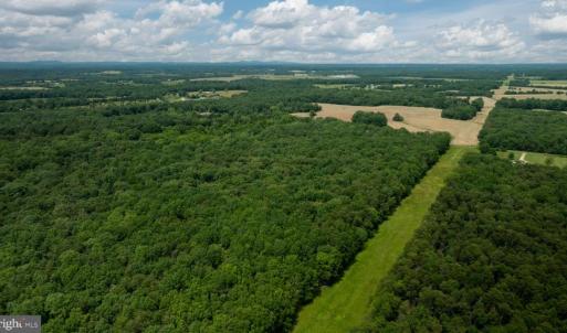 Photo #13 of 11326 ROGUES ROAD, MIDLAND, VA 24.9 acres