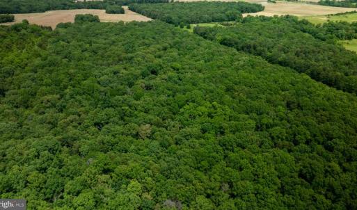 Photo #16 of 11326 ROGUES ROAD, MIDLAND, VA 24.9 acres