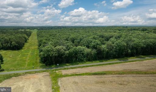 Photo #17 of 11326 ROGUES ROAD, MIDLAND, VA 24.9 acres