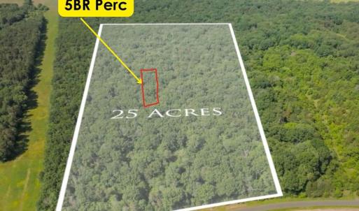 Photo #2 of 11326 ROGUES ROAD, MIDLAND, VA 24.9 acres