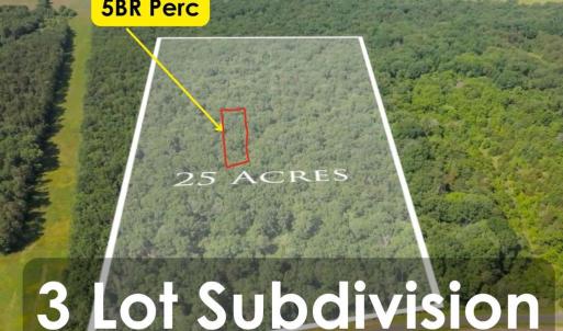 Photo #1 of 11326 ROGUES ROAD, MIDLAND, VA 24.9 acres