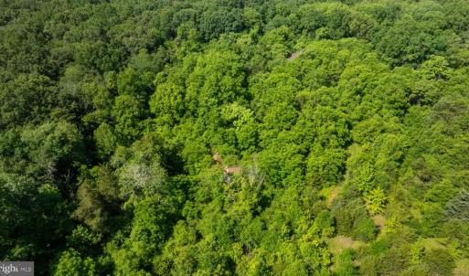 Photo #4 of 11326 ROGUES ROAD, MIDLAND, VA 2.7 acres