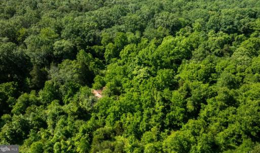 Photo #5 of 11326 ROGUES ROAD, MIDLAND, VA 2.7 acres