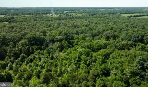 Photo #7 of 11326 ROGUES ROAD, MIDLAND, VA 2.7 acres