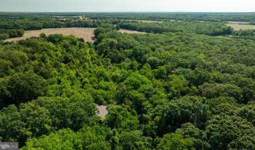 Photo #9 of 11326 ROGUES ROAD, MIDLAND, VA 2.7 acres