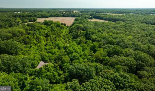 Photo #10 of 11326 ROGUES ROAD, MIDLAND, VA 2.7 acres