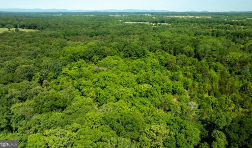Photo #13 of 11326 ROGUES ROAD, MIDLAND, VA 2.7 acres