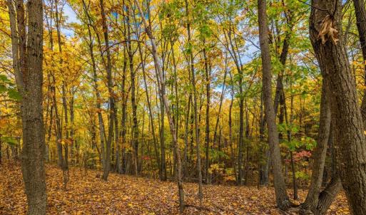 Photo #9 of LUCAS HOLLOW RD, STANLEY, VA 40.6 acres