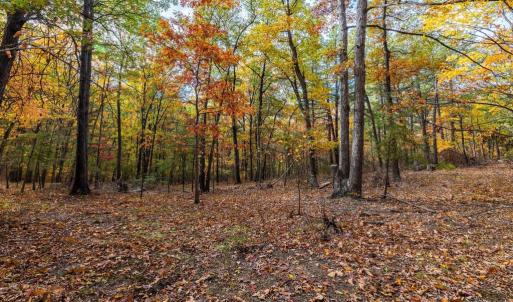 Photo #7 of LUCAS HOLLOW RD, STANLEY, VA 40.6 acres