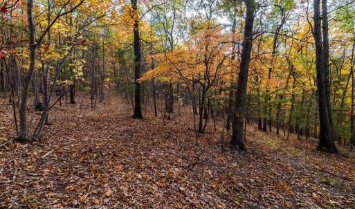 Photo #10 of LUCAS HOLLOW RD, STANLEY, VA 40.6 acres