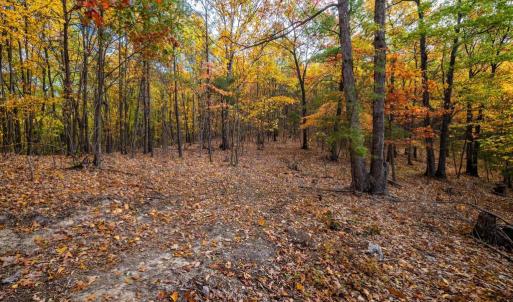 Photo #5 of LUCAS HOLLOW RD, STANLEY, VA 40.6 acres
