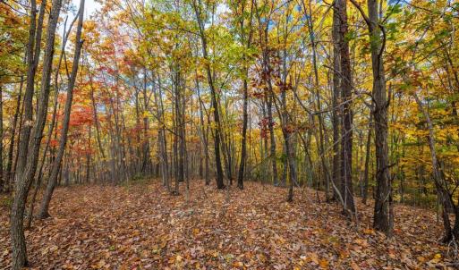 Photo #8 of LUCAS HOLLOW RD, STANLEY, VA 40.6 acres