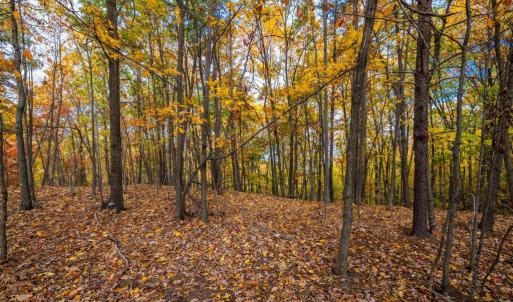 Photo #11 of LUCAS HOLLOW RD, STANLEY, VA 40.6 acres