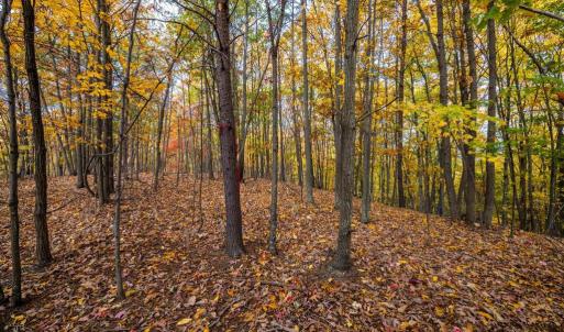 Photo #13 of LUCAS HOLLOW RD, STANLEY, VA 40.6 acres