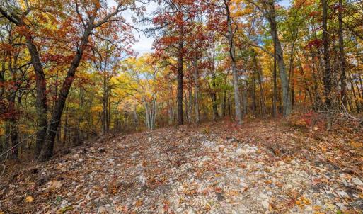 Photo #14 of LUCAS HOLLOW RD, STANLEY, VA 40.6 acres