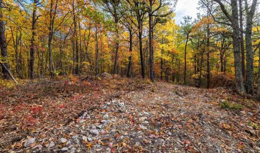Photo #15 of LUCAS HOLLOW RD, STANLEY, VA 40.6 acres