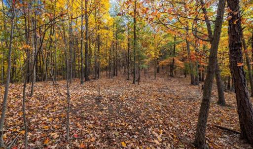 Photo #16 of LUCAS HOLLOW RD, STANLEY, VA 40.6 acres