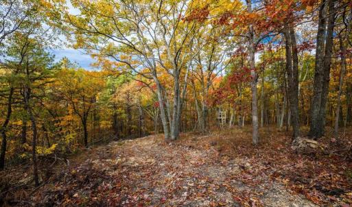 Photo #17 of LUCAS HOLLOW RD, STANLEY, VA 40.6 acres