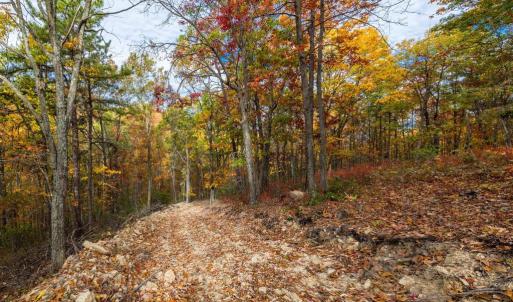 Photo #18 of LUCAS HOLLOW RD, STANLEY, VA 40.6 acres