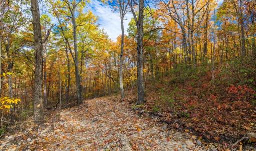 Photo #19 of LUCAS HOLLOW RD, STANLEY, VA 40.6 acres