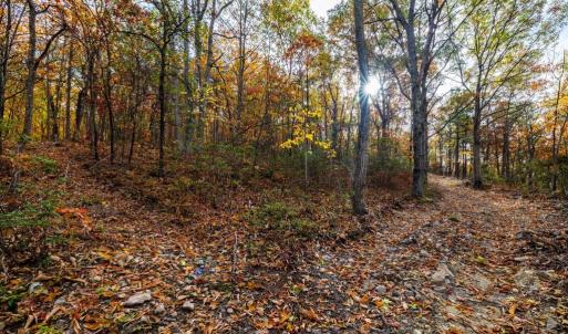 Photo #20 of LUCAS HOLLOW RD, STANLEY, VA 40.6 acres