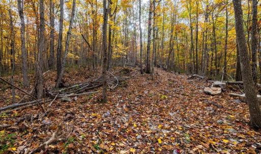 Photo #21 of LUCAS HOLLOW RD, STANLEY, VA 40.6 acres