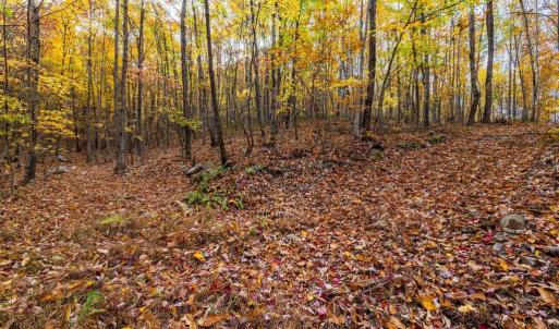 Photo #23 of LUCAS HOLLOW RD, STANLEY, VA 40.6 acres