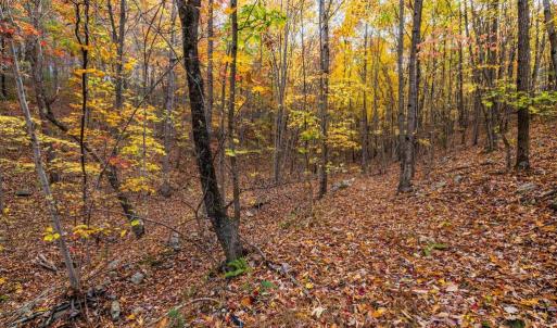 Photo #24 of LUCAS HOLLOW RD, STANLEY, VA 40.6 acres