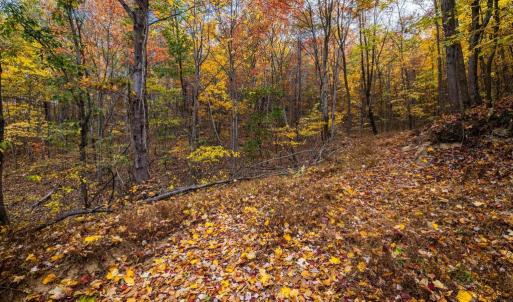 Photo #25 of LUCAS HOLLOW RD, STANLEY, VA 40.6 acres