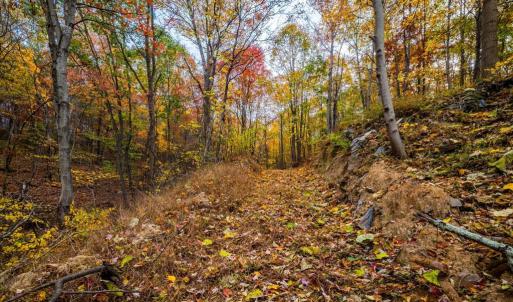 Photo #4 of LUCAS HOLLOW RD, STANLEY, VA 40.6 acres