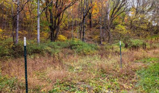 Photo #26 of LUCAS HOLLOW RD, STANLEY, VA 40.6 acres
