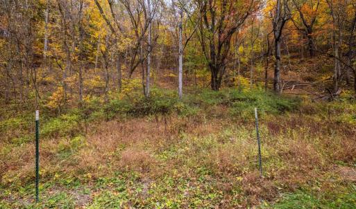 Photo #27 of LUCAS HOLLOW RD, STANLEY, VA 40.6 acres