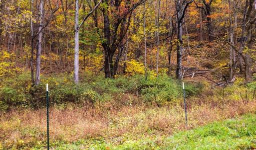 Photo #29 of LUCAS HOLLOW RD, STANLEY, VA 40.6 acres