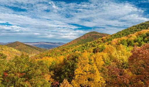 Photo #30 of LUCAS HOLLOW RD, STANLEY, VA 40.6 acres
