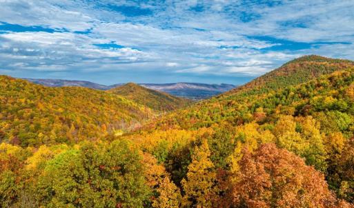 Photo #31 of LUCAS HOLLOW RD, STANLEY, VA 40.6 acres