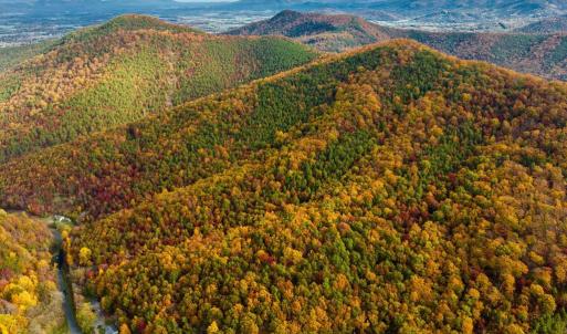 Photo #3 of LUCAS HOLLOW RD, STANLEY, VA 40.6 acres